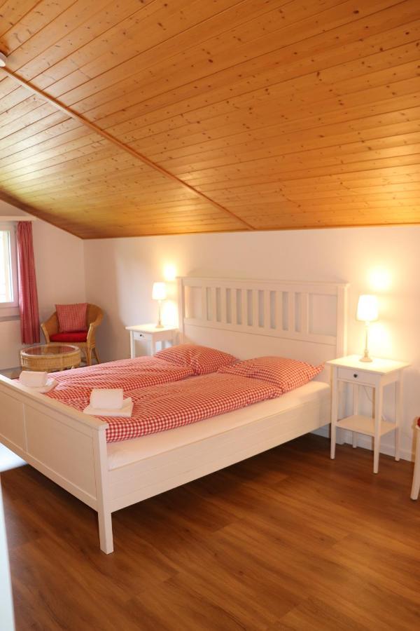 Appartement Julia Grindelwald Zewnętrze zdjęcie